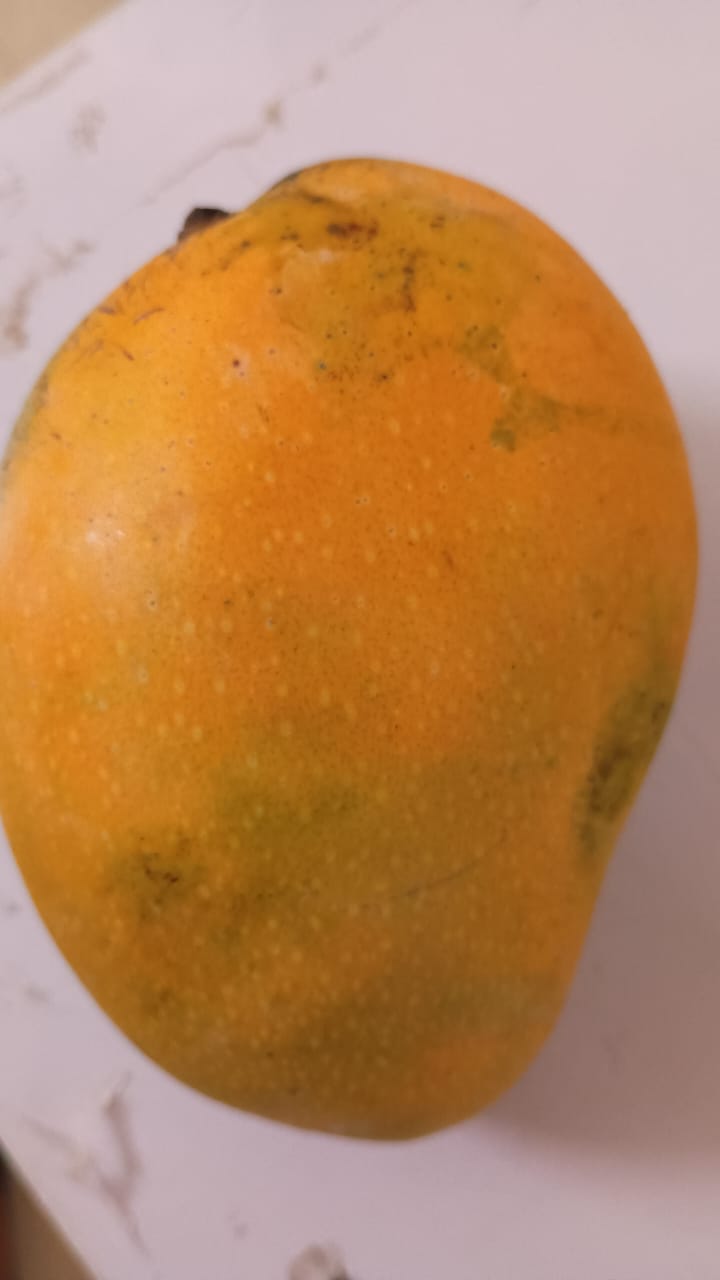 Mallika mango