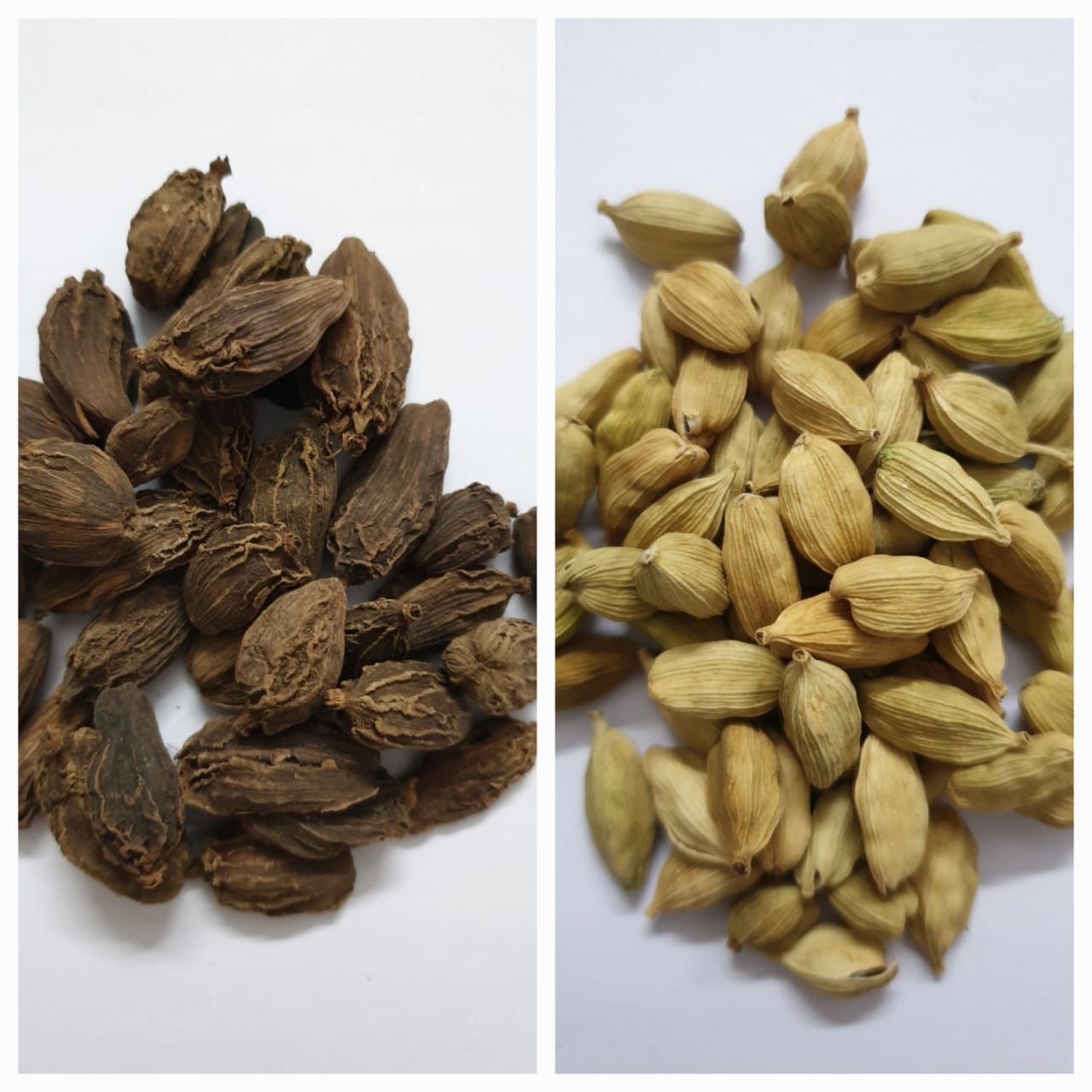 cardamom